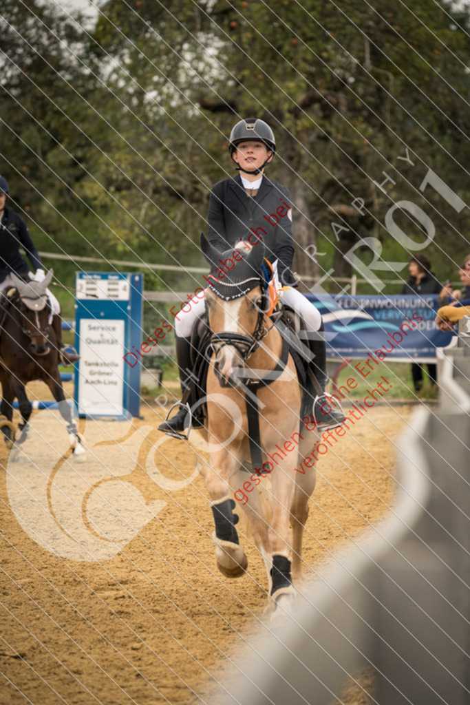 DSC_7573 | Sport-, Event- und Tierfotos in Profiqualität. Einfach auswählen, bestellen und herunterladen. Dein Moment – perfekt festgehalten.