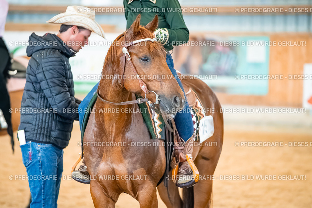 DSC00649 | Pferdegrafie