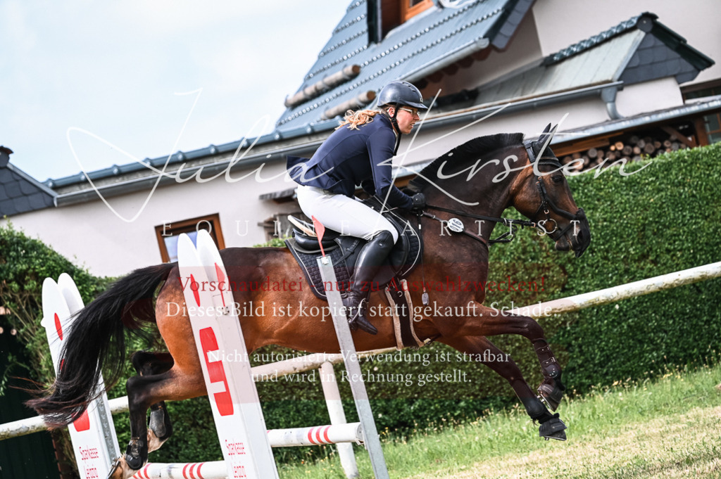 DSC_8268 | Pferde- und Turnierfotografie in Westsachsen. Pferdeportraits, Auftragszeichnungen und intuitive Kunst.
