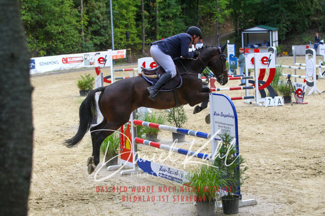 DKP40670 | Turniersportfotografie; Pferdefotografie; Dressurfotografie