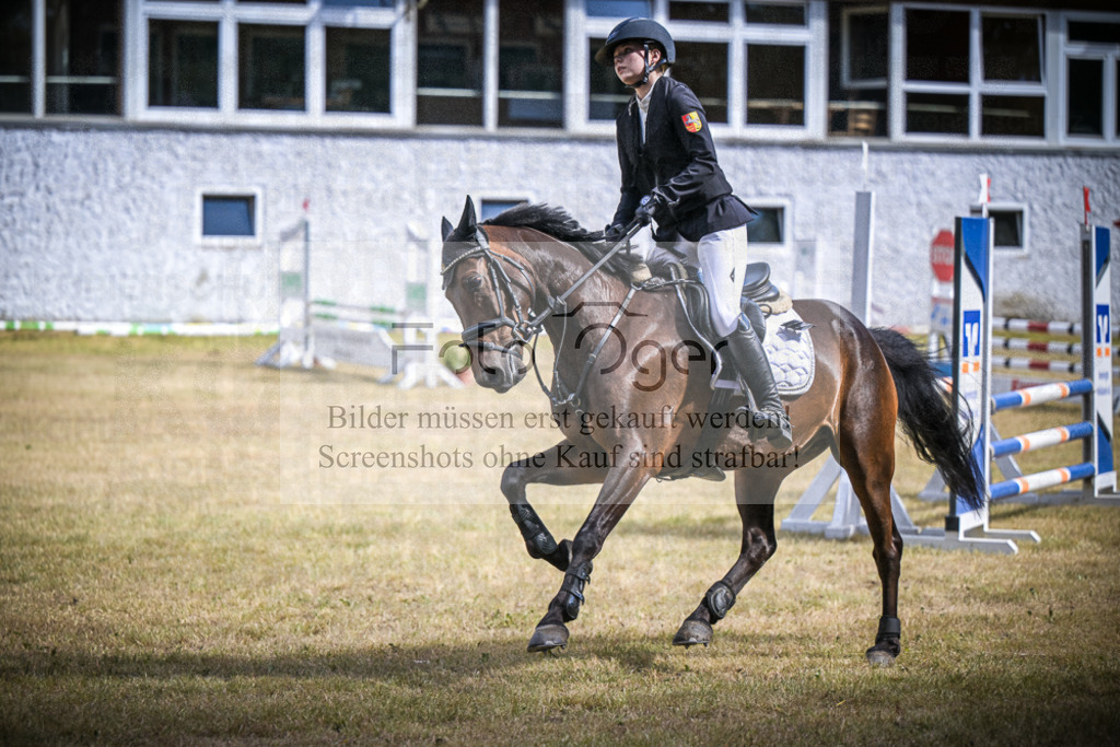 DOS_1439 | Entdecke hochwertige Reitturnierfotos von Foto Oger. Professionell, emotional und authentisch – jetzt Lieblingsmomente im Shop bestellen.Deutschlandweite Turnierfotografie. - Realisiert mit Pictrs.com