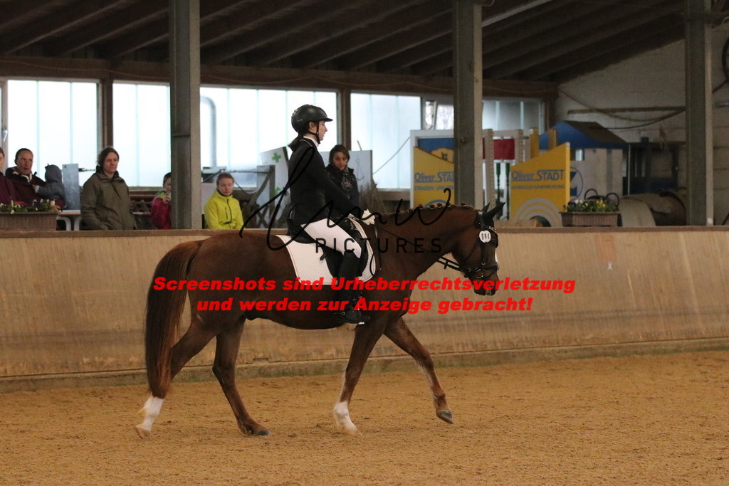 IMG_3614 | lmwpictures - Realisiert mit Pictrs.com