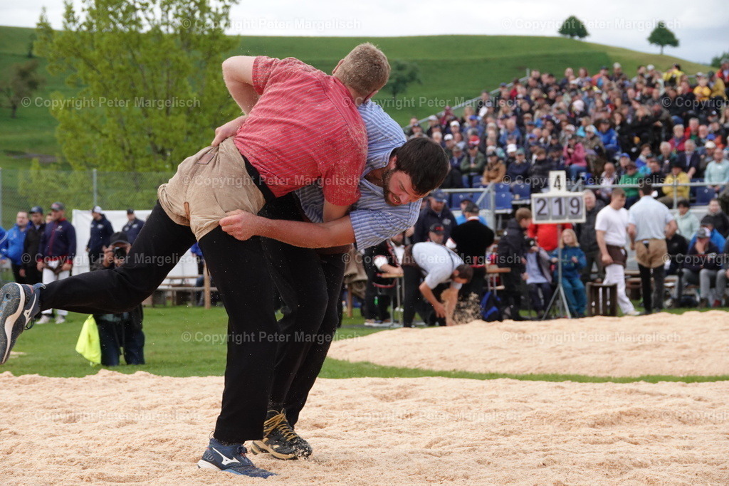 DSC00632 | Schwingen - Realisiert mit Pictrs.com