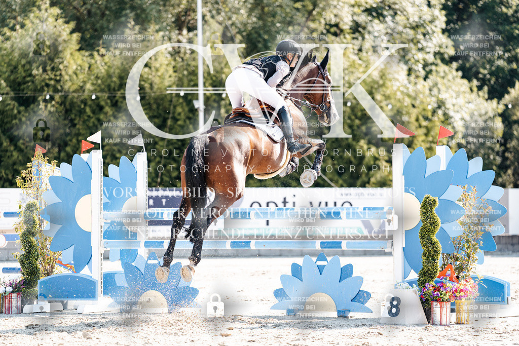 CK902236 | Turnierfotografie Pferdefotografie Trier Rheinland-Pfalz Pferdesport Reitsport Tierfotografie Sportfotografie Pferdevideo Pferdevideografie Equestrianvideography equestrianphotography  - Realisiert mit Pictrs.com