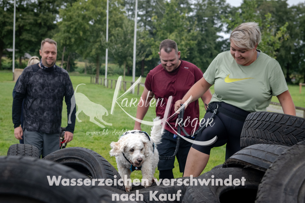 1224_ZZ90528 | kk-dogfotos