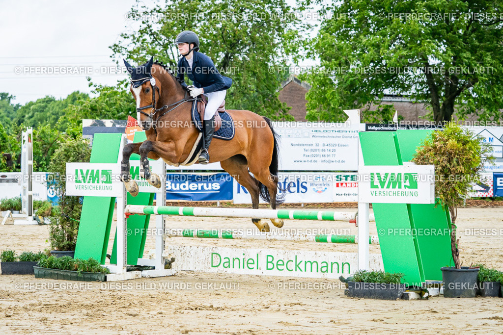 DSC02063 | Pferdegrafie