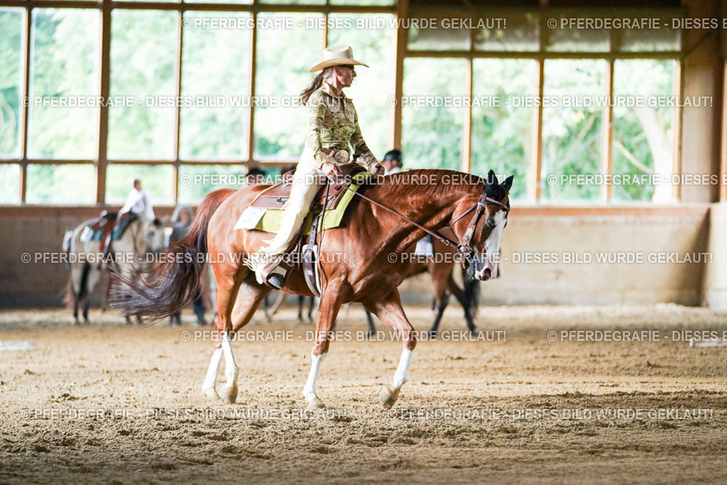 DSC05743 | Pferdegrafie