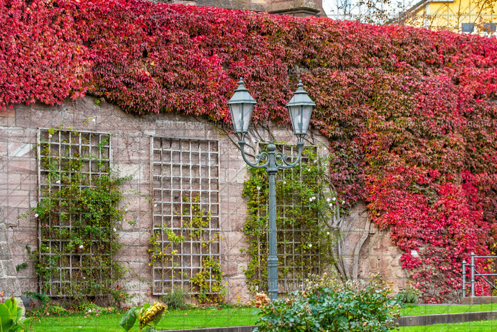 20251019171503D75_8916 | Kaufen sie online außergewöhnliche Fotografien auf Leinwand Acrylglas Fotoprint Aludibond von holgerweigeltfotografie - Realisiert mit Pictrs.com