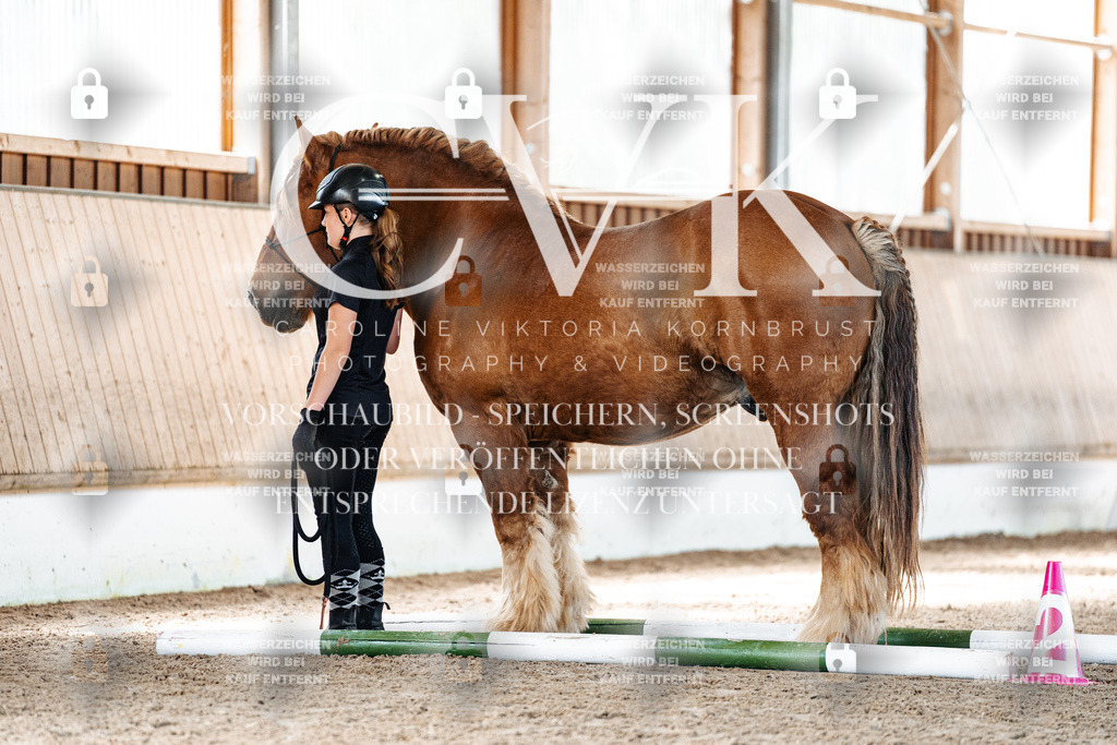 CK906317 | Turnierfotografie Pferdefotografie Trier Rheinland-Pfalz Pferdesport Reitsport Tierfotografie Sportfotografie Pferdevideo Pferdevideografie Equestrianvideography equestrianphotography  - Realisiert mit Pictrs.com