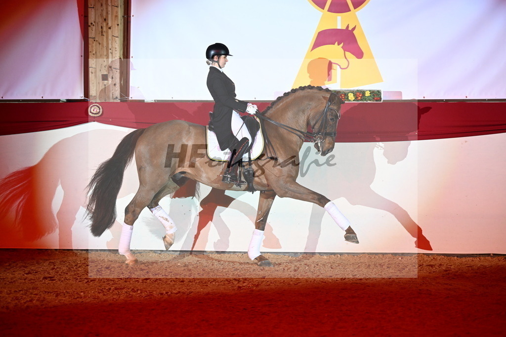 Va Bene_Wadenspanner_2255254 | hf-fotografie - Realisiert mit Pictrs.com