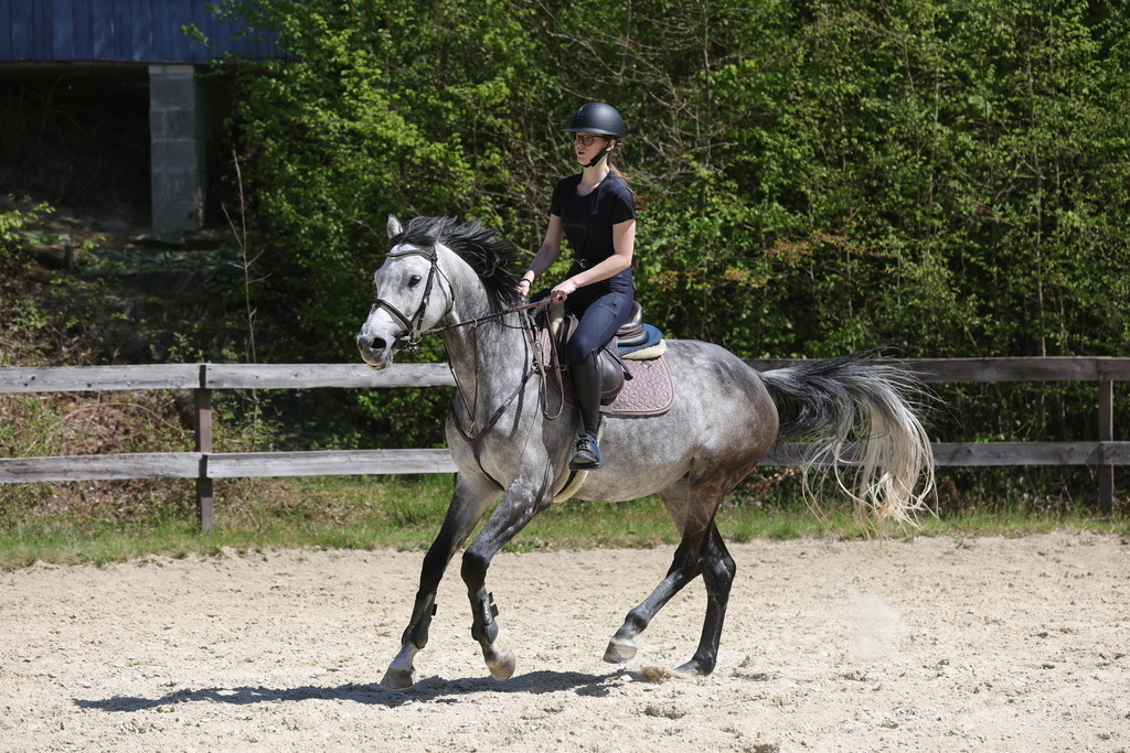 0P6A8868 | Willkommen bei Brunnmayr - Design & Fotografie – Ihrem Spezialisten für Reitturniere und Pferdeveranstaltungen in Oberösterreich, Salzburg und Bayern! Seit über 17 Jahren sind wir leidenschaftlich dabei.