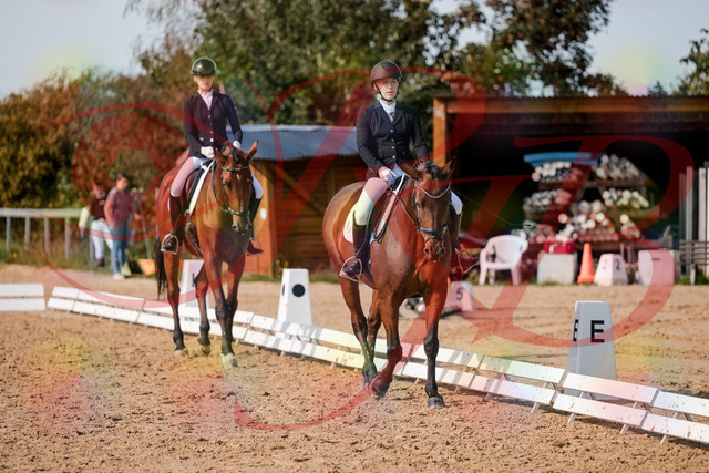2026_10_03_Siefer-Hof_130909_Z63_71379393 | Professionelle Reitsport-, Turnier- und Eventfotografie von Robert Broda. Galerien mit ausgewählten und bearbeiteten Bildern direkt online ansehen und bestellen.