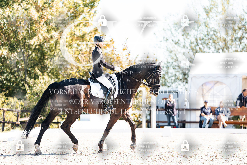 CK908859 | Turnierfotografie Pferdefotografie Trier Rheinland-Pfalz Pferdesport Reitsport Tierfotografie Sportfotografie Pferdevideo Pferdevideografie Equestrianvideography equestrianphotography  - Realisiert mit Pictrs.com