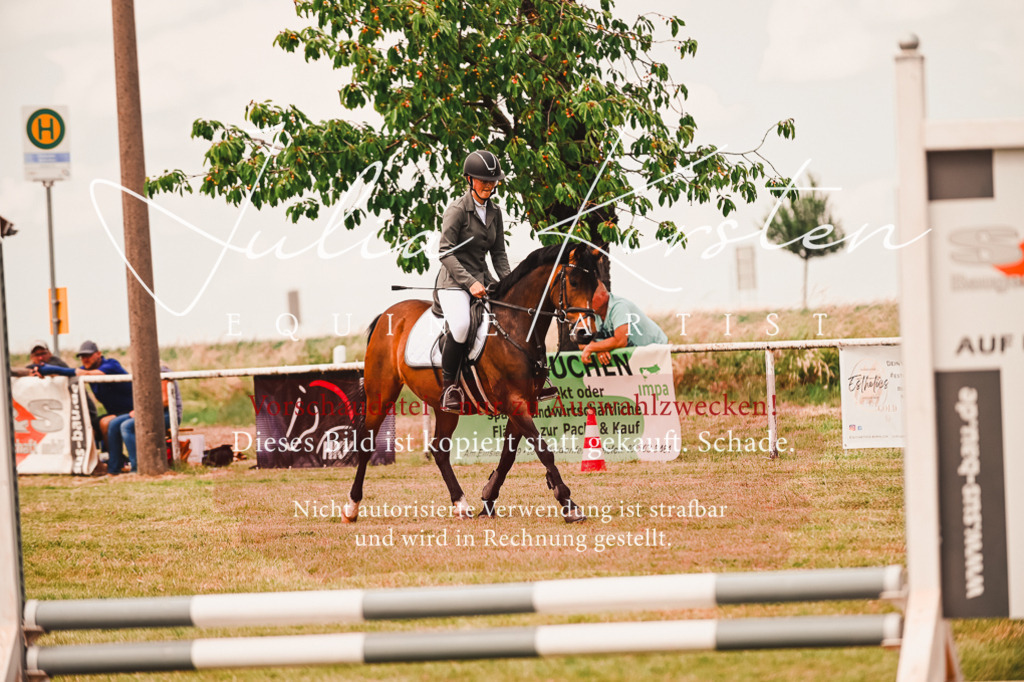 DSC_6896 | Pferde- und Turnierfotografie in Westsachsen. Pferdeportraits, Auftragszeichnungen und intuitive Kunst.