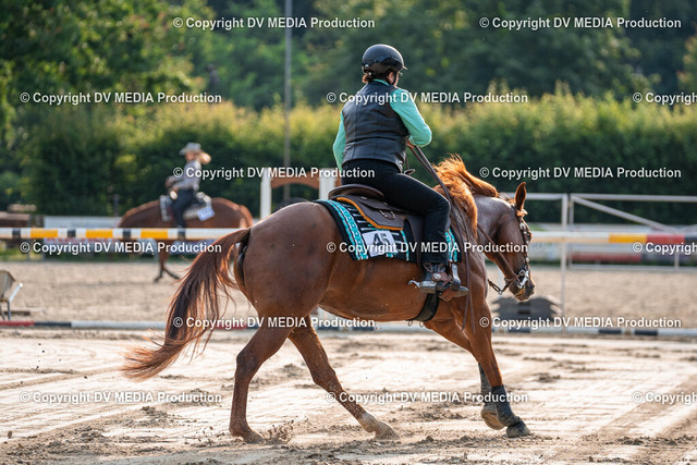 Zeiskam Tag 1-63 | dv-media-shop - Realisiert mit Pictrs.com