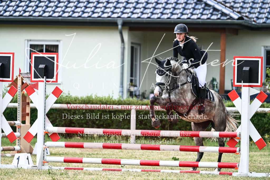 DSC_8923 | Pferde- und Turnierfotografie in Westsachsen. Pferdeportraits, Auftragszeichnungen und intuitive Kunst.