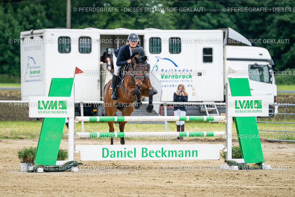 DSC05805 | Pferdegrafie