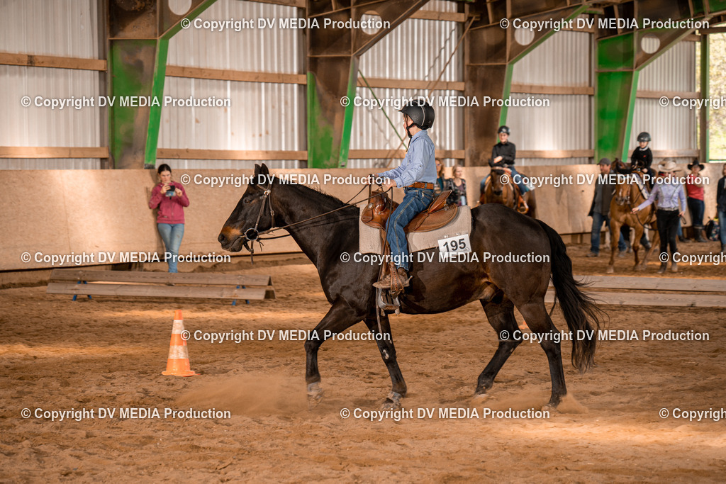 BAL02331 | dv-media-shop - Realisiert mit Pictrs.com