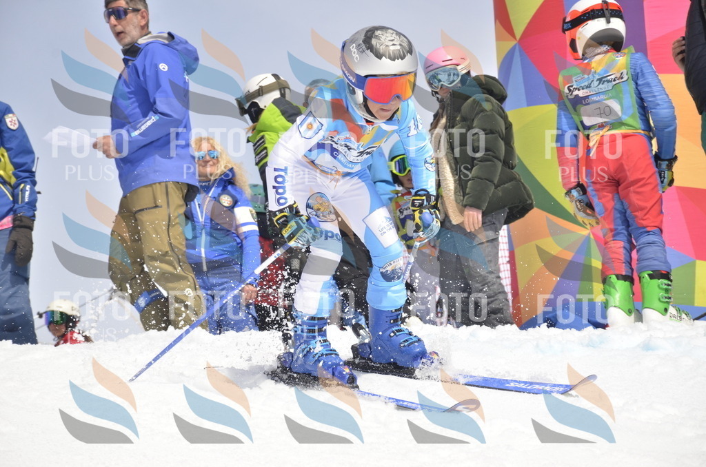 _ELE8639 | holidayphoto