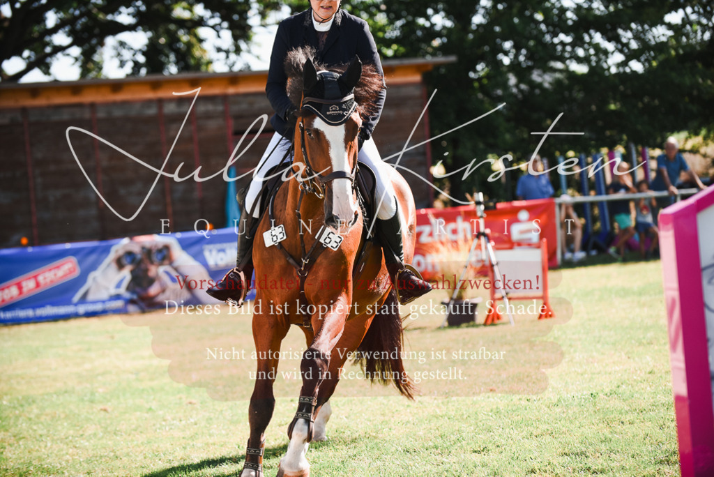 DSC_2470 | Pferde- und Turnierfotografie in Westsachsen. Pferdeportraits, Auftragszeichnungen und intuitive Kunst.