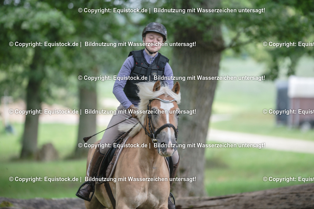 20250726_Vielseitigkeitslehrgang-Marbach_0203 | Foto: Thomas Hartig