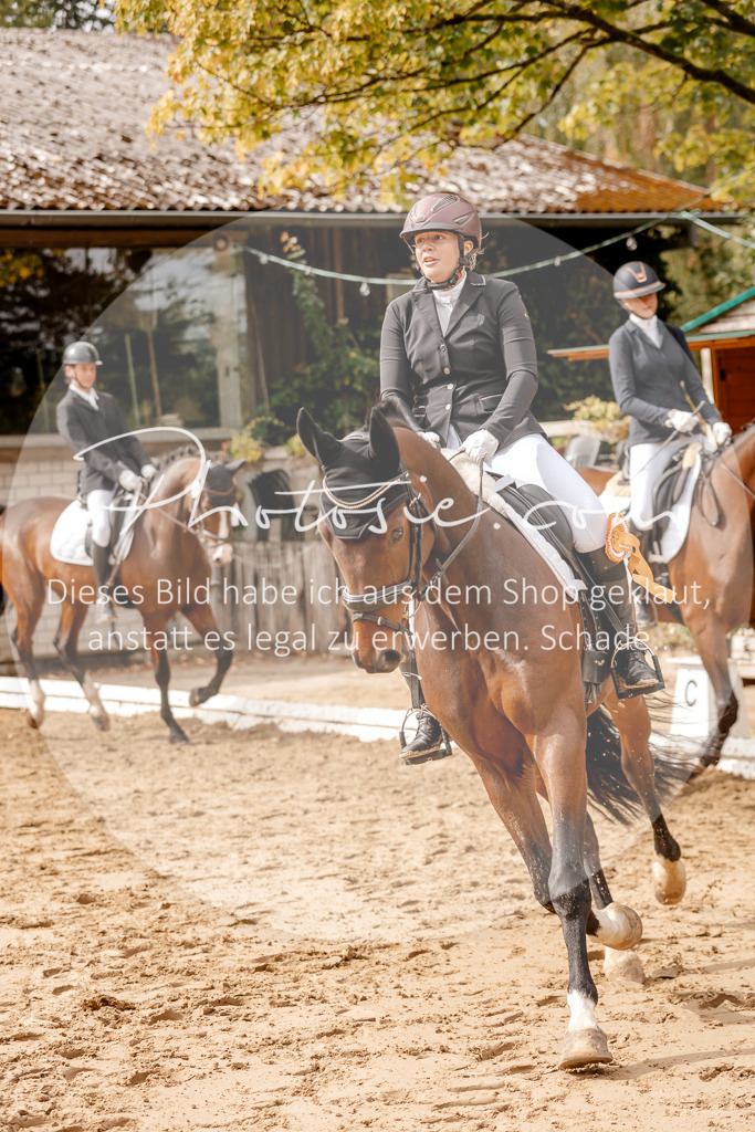 3I6A7664 | Stimmungsvolle Portraits und Reitsportfotografie im Ruhrgebiet und im Münsterland.

Pferdefotografie, Hundefotografie, Tierfotografie, Reportagen, Portraits von Tier und Mensch, Turnierfotografie in Bochum, Recklinghausen, Marl, Haltern am See, Dülmen.. - Realisiert mit Pictrs.com