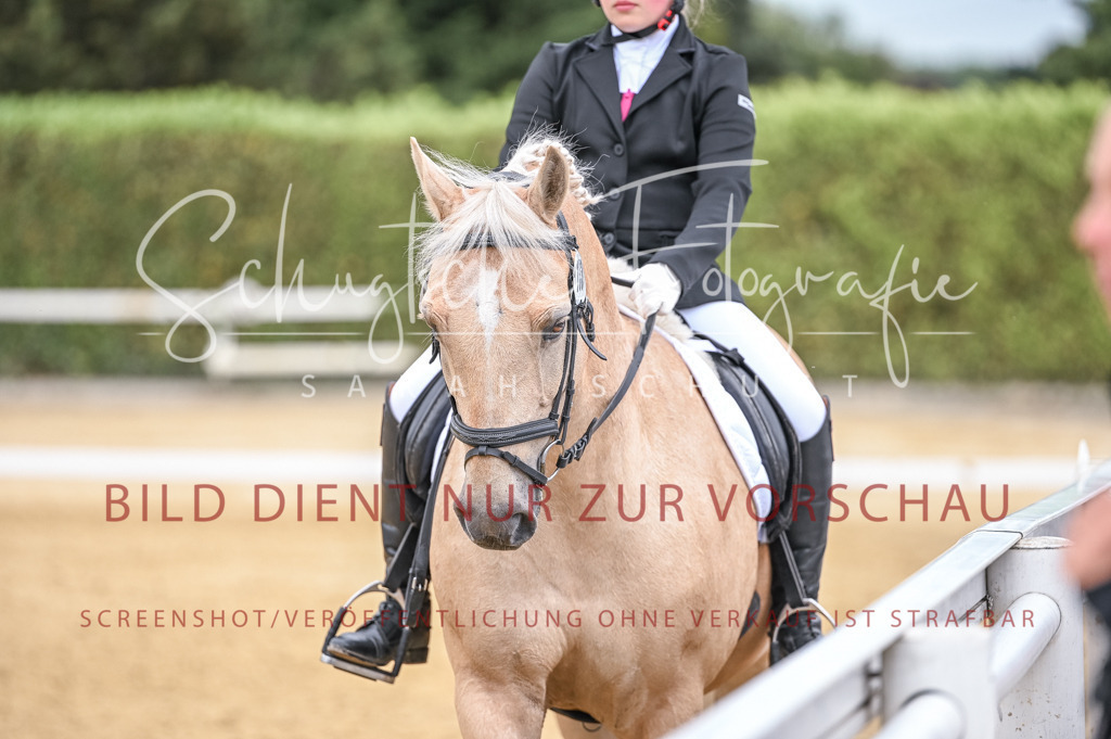 Schugtsche-Aluta25-44.DresssurreiterWB-125 | Schugtsche Fotografie - Realisiert mit Pictrs.com