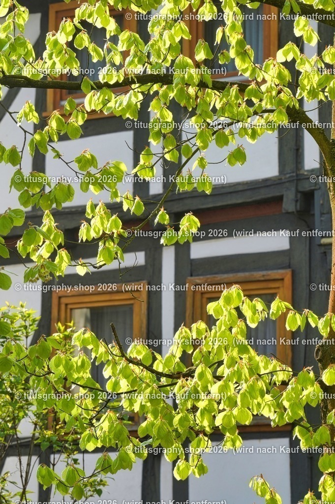 2022-04-29_FT-125_Oberkaufungen_DSC_0367_b-013 (Kopie) | titusgraphy-shop: Geschenkideen mit Qualitätsfotos. titusgraphy-shop: gift ideas with quality photos. titusgraphy-shop: idées cadeaux avec photos de qualité.  - Realisiert mit Pictrs.com