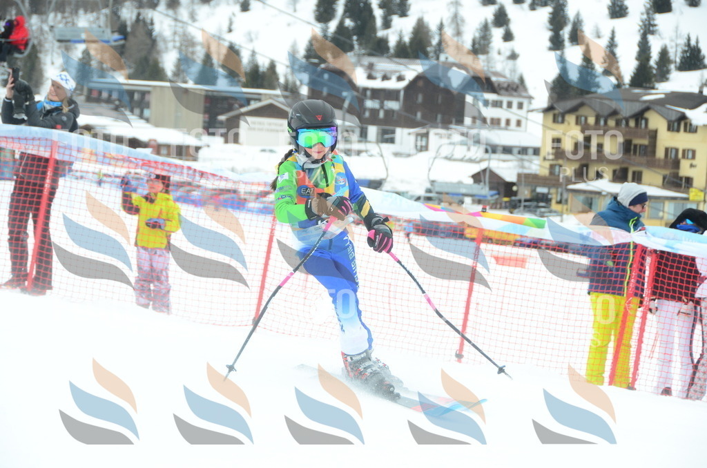 DSC_0868 | holidayphoto