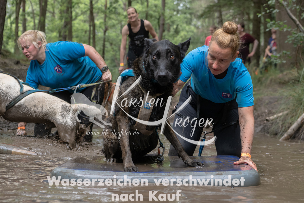 1332_ZZ94441 | kk-dogfotos