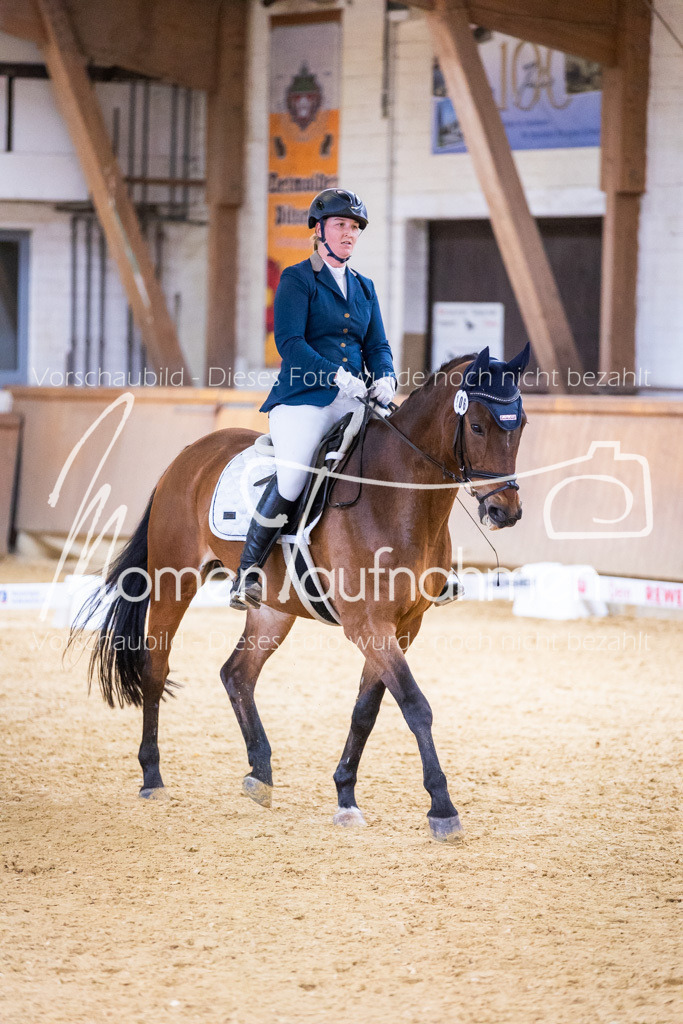 Sth-A-Dre-2St-108 | MomenTaufnahmen Pferdesportfotos