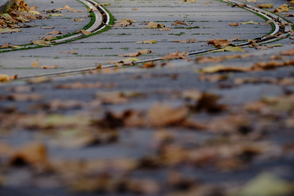 Strassenbahnschienen Kurve mit Laub auf der Strasse | Wien, Austria - November 18, 2025: Strassenbahnschienen Kurve mit Laub auf der Strasse. - Realisiert mit Pictrs.com