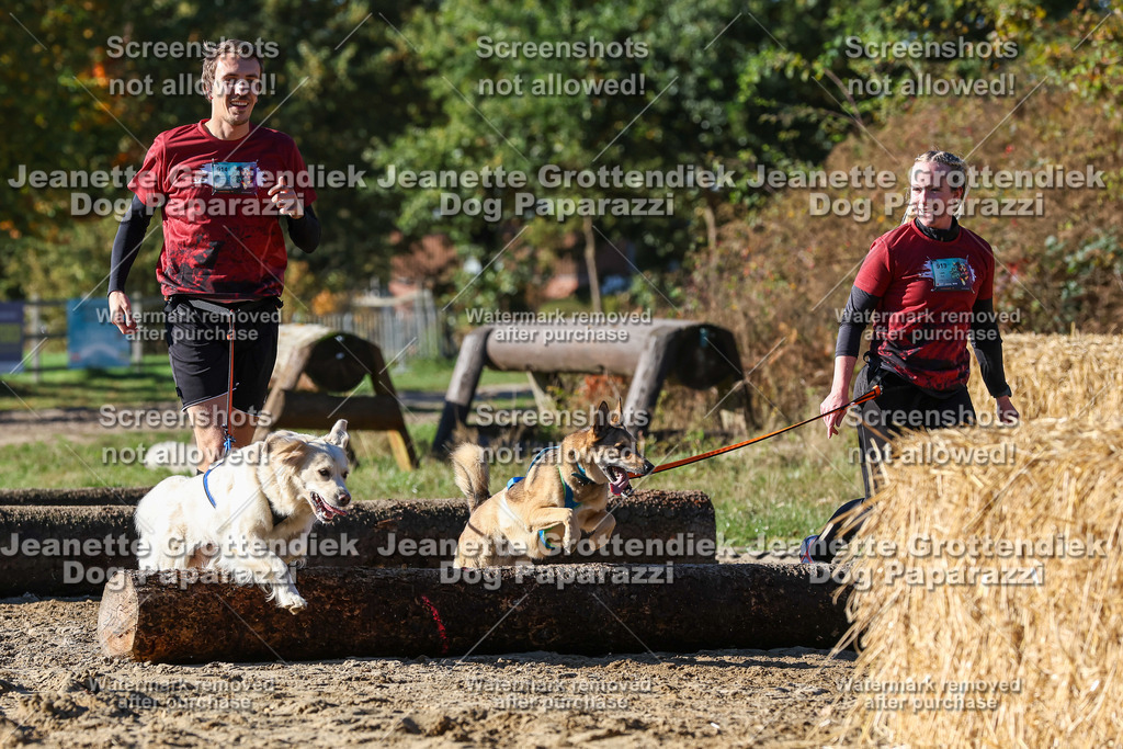 Dog Paparazzi - Strongdog 10-25-2349 | Dog Paparazzi Jeanette Grottendiek Fotografie & Videografie - Realisiert mit Pictrs.com