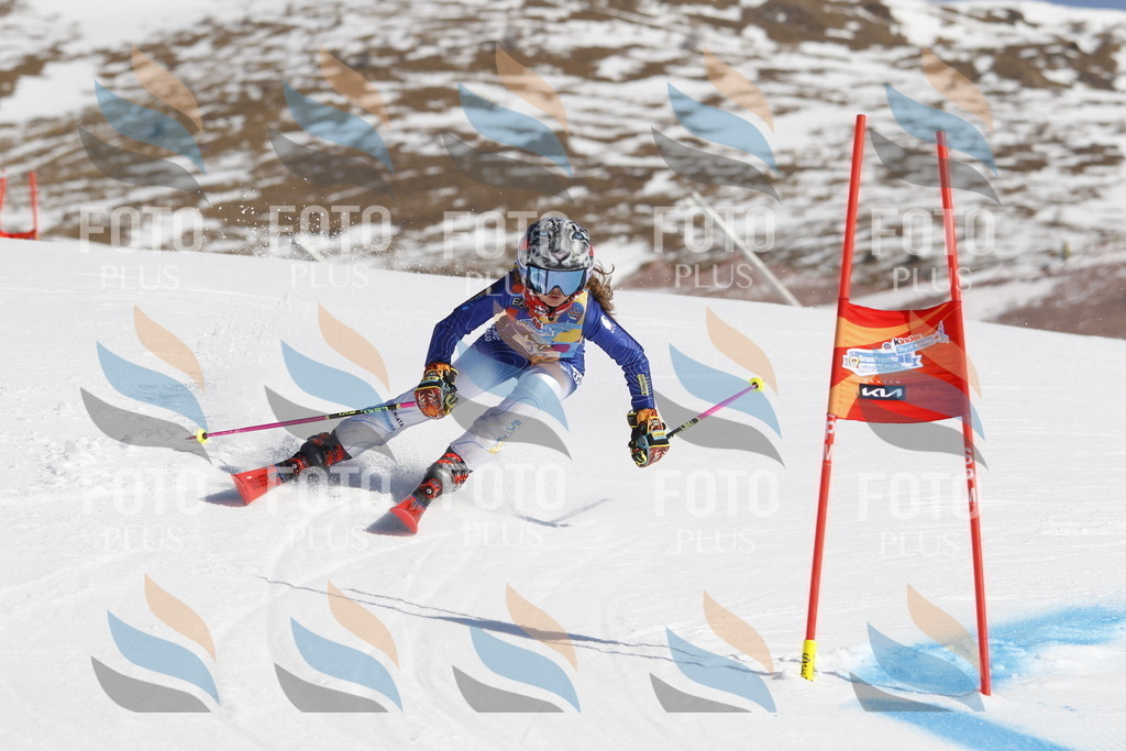 _U3G9093 | holidayphoto