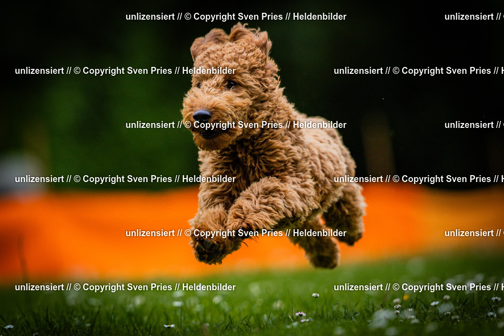 Sven Pries | 2025-05-29 - Pudelrennen KA-Durlach - Realisiert mit Pictrs.com