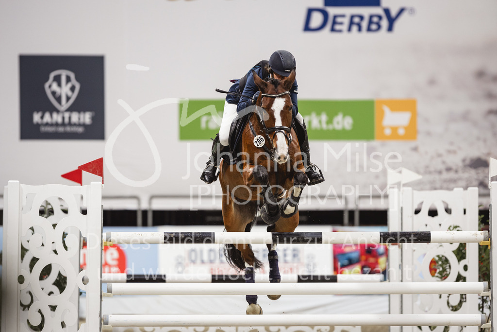 231028_Oldenburg_S1-Spr_Amateure-204 | Deine schönsten Turniermomente als professionelle Fotos! Entdecke hochwertige Pferdesport-Fotografie im Online-Shop. Jetzt Fotos finden & bestellen!