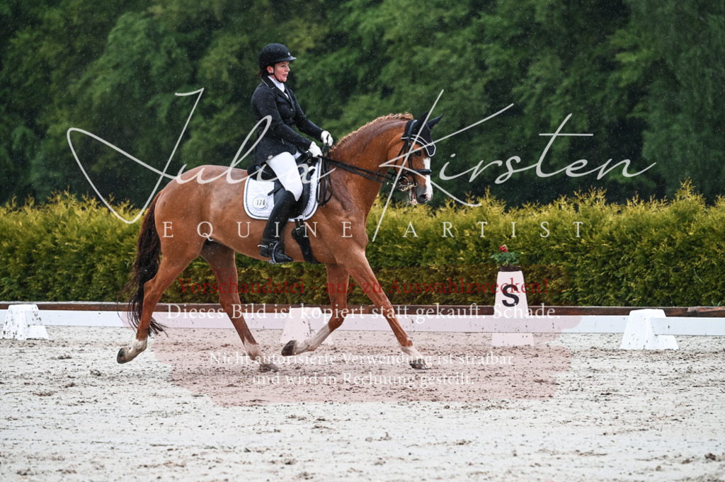 DSC_4465 | Pferde- und Turnierfotografie in Westsachsen. Pferdeportraits, Auftragszeichnungen und intuitive Kunst.