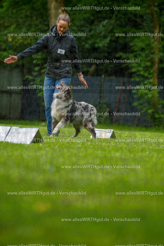 @allesWIRTHgut_Tierfotografie - www.allesWIRTHgut.de - 7R500309 | Professionelle Tierfotografie in Mönchengladbach von Daniel Wirth (allesWIRTHgut). Liebevolle & natürliche Bilder von Hunden & Katzen für unvergessliche Erinnerungen.