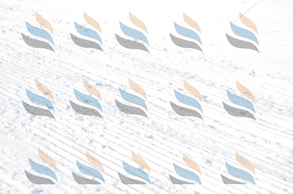 C6110 | holidayphoto