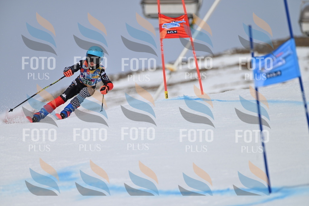 BGV_4193 | holidayphoto