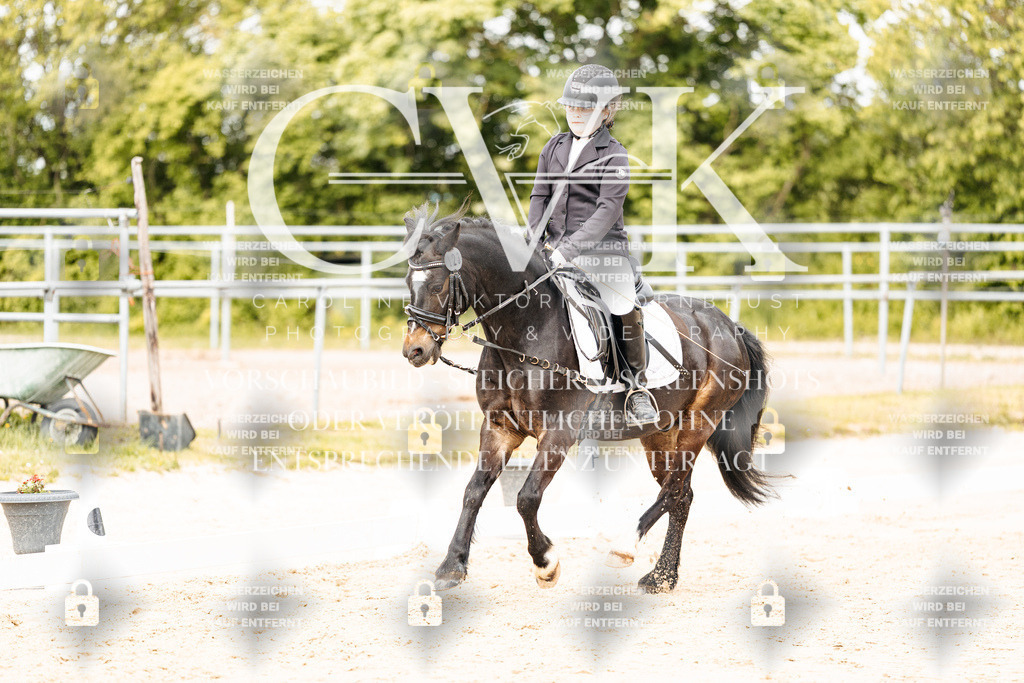 CK904370 | Turnierfotografie Pferdefotografie Trier Rheinland-Pfalz Pferdesport Reitsport Tierfotografie Sportfotografie Pferdevideo Pferdevideografie Equestrianvideography equestrianphotography  - Realisiert mit Pictrs.com