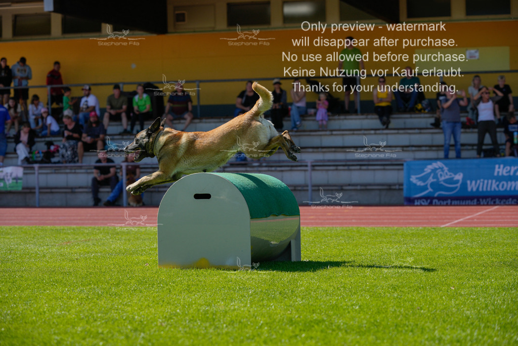 Sonntag_VK Hindernis (436 von 671) | stephaniefillaphotographie - Realisiert mit Pictrs.com