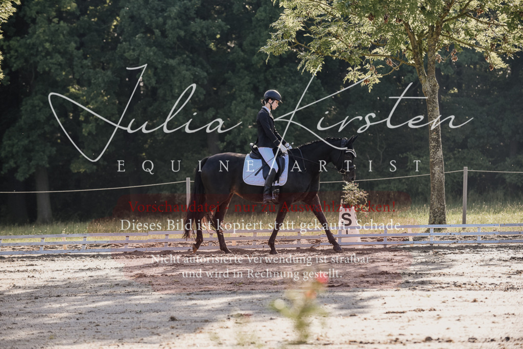 DSC_7767 | Pferde- und Turnierfotografie in Westsachsen. Pferdeportraits, Auftragszeichnungen und intuitive Kunst.