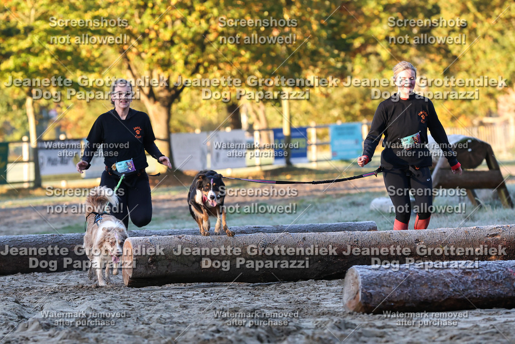 Dog Paparazzi - Strongdog 10-25-411 | Dog Paparazzi Jeanette Grottendiek Fotografie & Videografie - Realisiert mit Pictrs.com