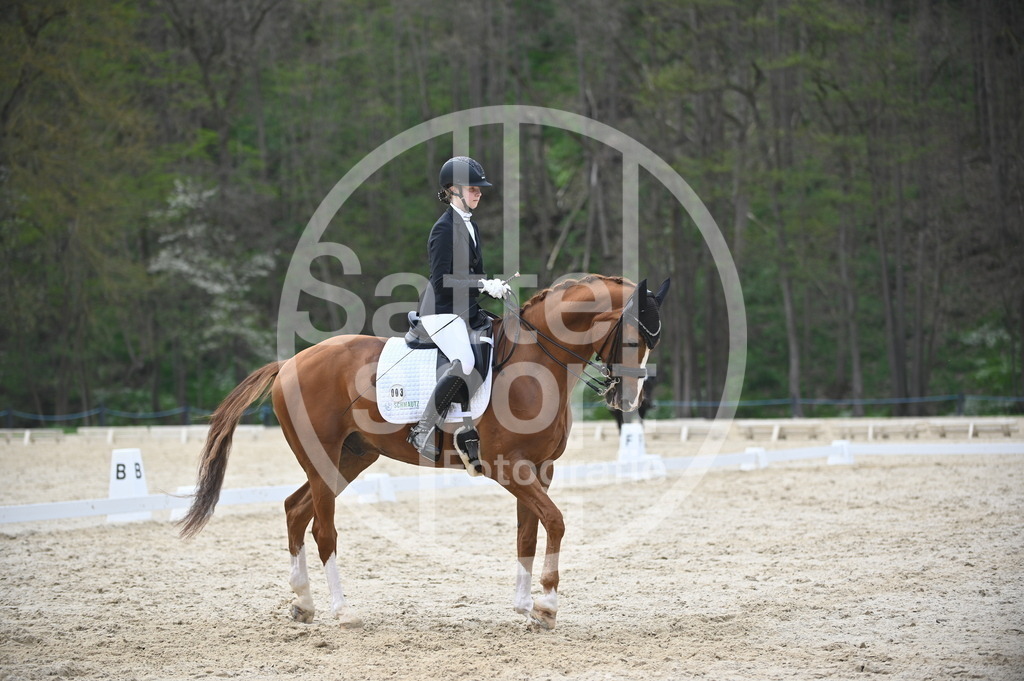 DSC_5136 | sattelsport - Realisiert mit Pictrs.com