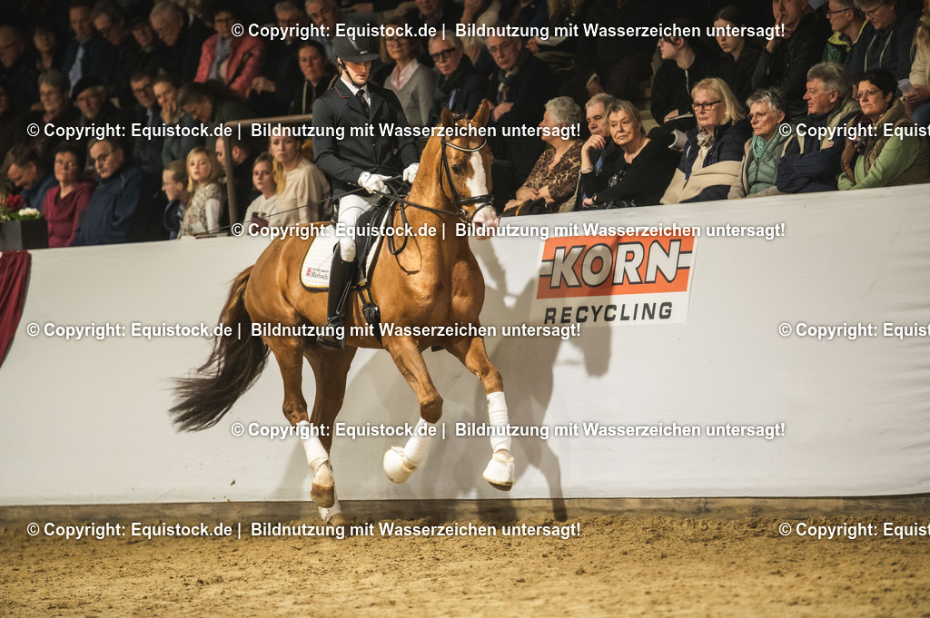 20240302_Hengstvorstellung_Marbach_TOMsPiC_0527-2 | equistock