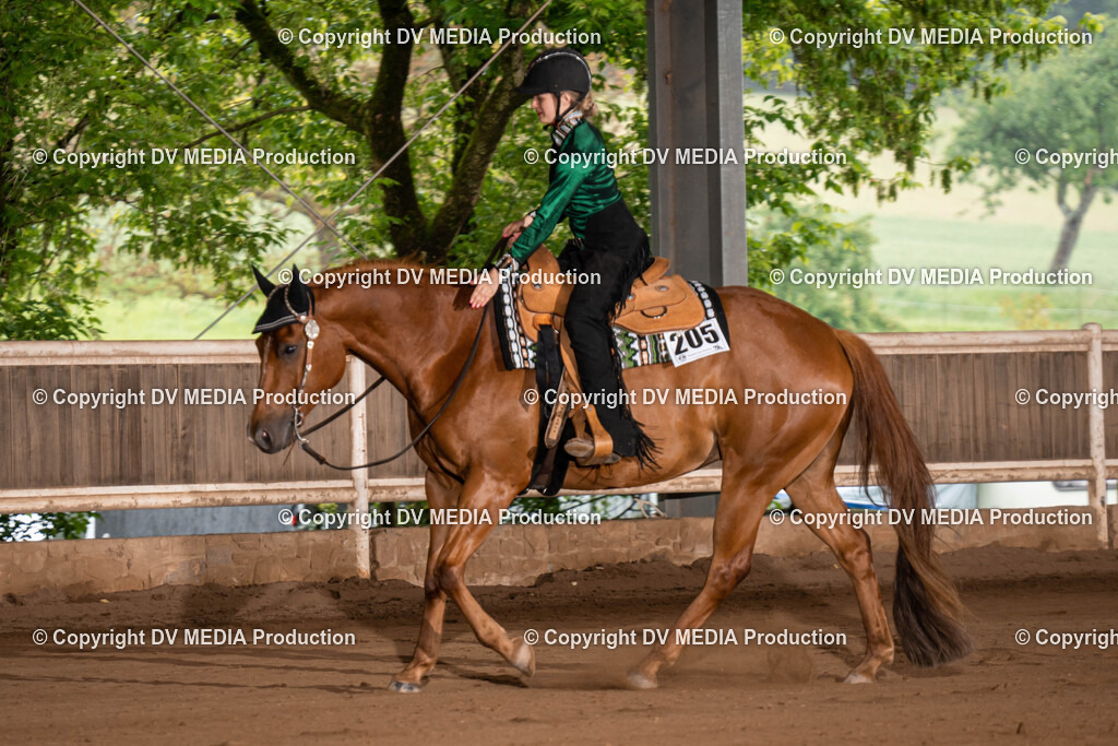 Erbach Tag 1-725 | dv-media-shop - Realisiert mit Pictrs.com