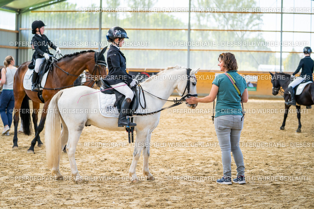 DSC01250 | Pferdegrafie