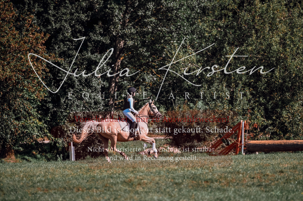 DSC_1118 | Pferde- und Turnierfotografie in Westsachsen. Pferdeportraits, Auftragszeichnungen und intuitive Kunst.