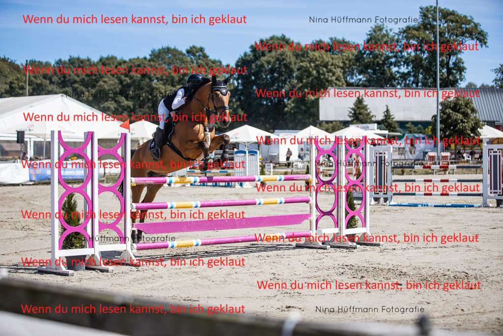 BK1A6627 | Turnierbilder Turnierfotos Nina Hüffmann Turnierfotografie Pferdefotografie Tierzeichnung Haustierzeichnung Pferdezeichnung Hundezeichnung Videograf  - Realisiert mit Pictrs.com